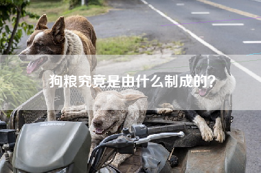 狗粮究竟是由什么制成的？