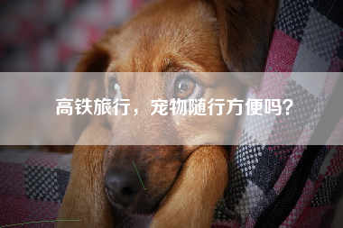 高铁旅行，宠物随行方便吗？