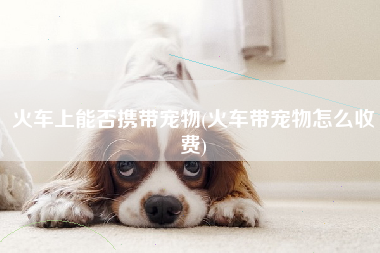 火车上能否携带宠物(火车带宠物怎么收费)
