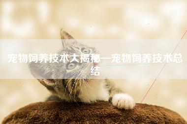 宠物饲养技术大揭秘—宠物饲养技术总结