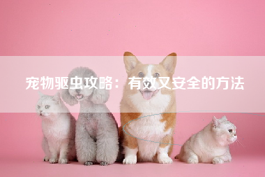 宠物驱虫攻略：有效又安全的方法