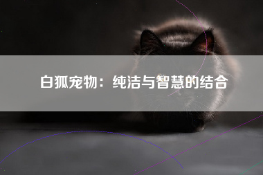 白狐宠物：纯洁与智慧的结合