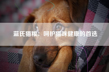 蓝氏猫粮：呵护猫咪健康的首选