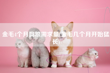 金毛4个月狗粮需求量(金毛几个月开始猛长)