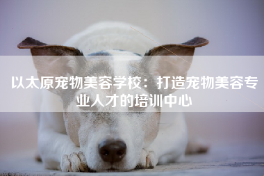 以太原宠物美容学校：打造宠物美容专业人才的培训中心