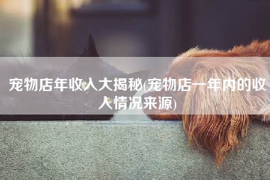 宠物店年收入大揭秘(宠物店一年内的收入情况来源)