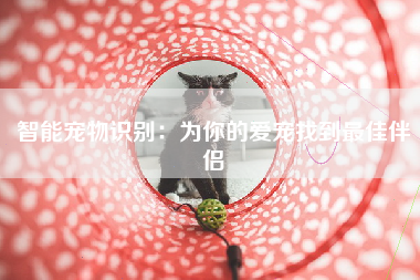 智能宠物识别：为你的爱宠找到最佳伴侣