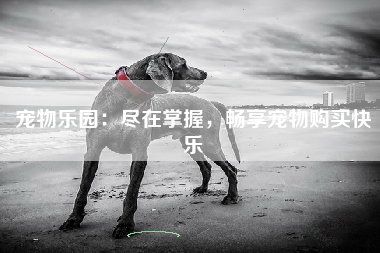 宠物乐园：尽在掌握，畅享宠物购买快乐