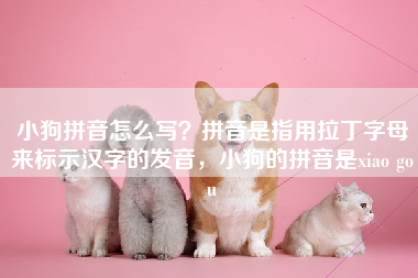 小狗拼音怎么写？拼音是指用拉丁字母来标示汉字的发音，小狗的拼音是xiao gou