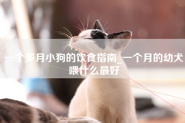 一个多月小狗的饮食指南_一个月的幼犬喂什么最好