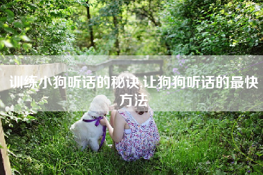 训练小狗听话的秘诀,让狗狗听话的最快方法