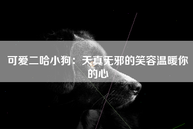 可爱二哈小狗：天真无邪的笑容温暖你的心