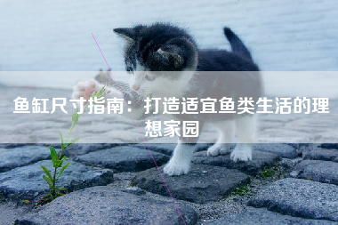 鱼缸尺寸指南：打造适宜鱼类生活的理想家园