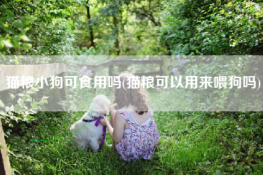 猫粮小狗可食用吗(猫粮可以用来喂狗吗)