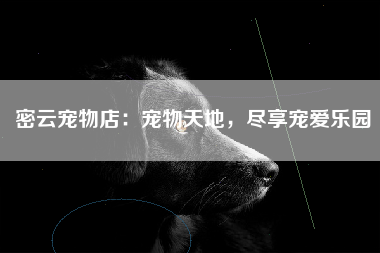 密云宠物店：宠物天地，尽享宠爱乐园