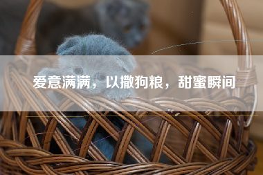 爱意满满，以撒狗粮，甜蜜瞬间