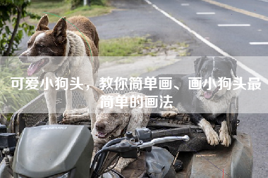 可爱小狗头，教你简单画、画小狗头最简单的画法