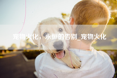 宠物火化，永恒的告别_宠物火化