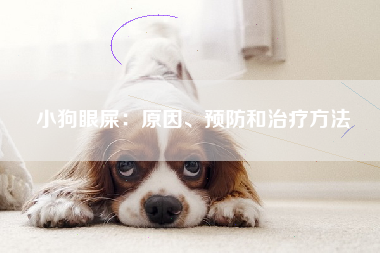 小狗眼屎：原因、预防和治疗方法