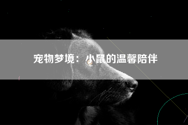宠物梦境：小鼠的温馨陪伴