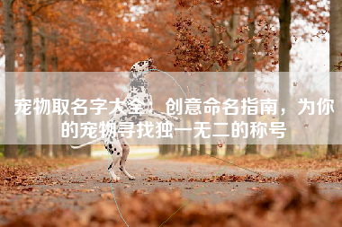 宠物取名字大全：创意命名指南，为你的宠物寻找独一无二的称号