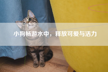 小狗畅游水中，释放可爱与活力