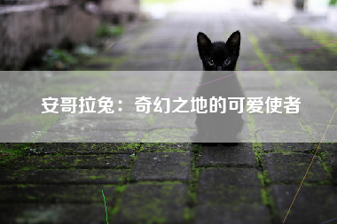 安哥拉兔：奇幻之地的可爱使者