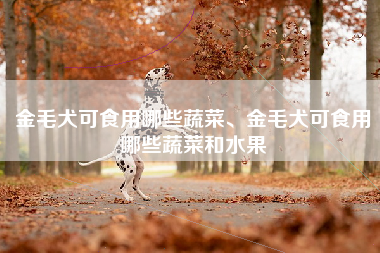 金毛犬可食用哪些蔬菜、金毛犬可食用哪些蔬菜和水果