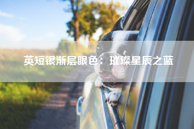 英短银渐层眼色：璀璨星辰之蓝