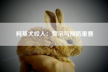 柯基犬咬人：警示与预防重要