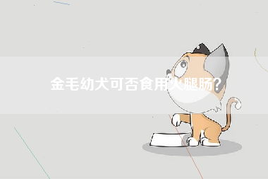 金毛幼犬可否食用火腿肠？