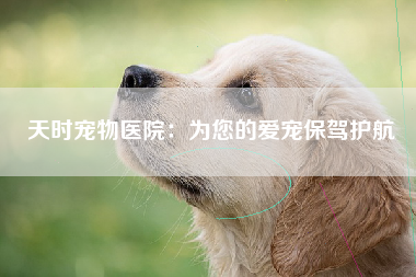 天时宠物医院：为您的爱宠保驾护航