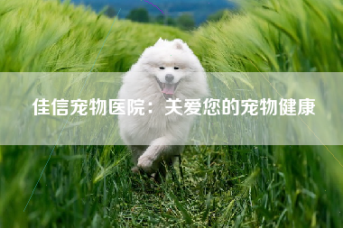 佳信宠物医院：关爱您的宠物健康