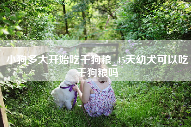 小狗多大开始吃干狗粮_45天幼犬可以吃干狗粮吗