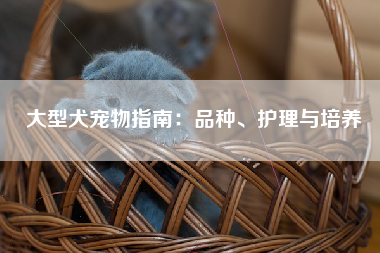 大型犬宠物指南：品种、护理与培养