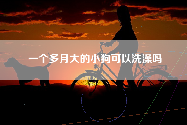 一个多月大的小狗可以洗澡吗