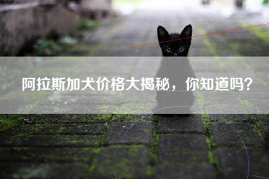 阿拉斯加犬价格大揭秘，你知道吗？