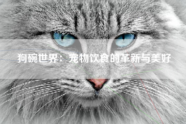 狗碗世界：宠物饮食的革新与美好