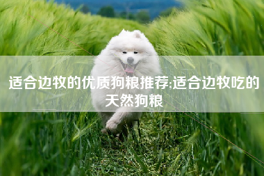 适合边牧的优质狗粮推荐;适合边牧吃的天然狗粮