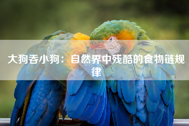 大狗吞小狗：自然界中残酷的食物链规律