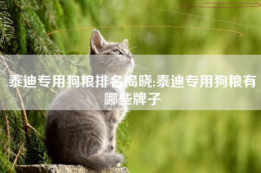 泰迪专用狗粮排名揭晓;泰迪专用狗粮有哪些牌子