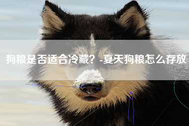 狗粮是否适合冷藏？-夏天狗粮怎么存放