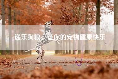 递乐狗粮，让你的宠物健康快乐