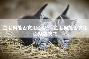 金毛狗能否食用面条？-金毛狗能否食用面条类食物