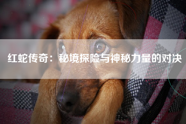 红蛇传奇：秘境探险与神秘力量的对决