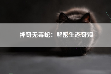 神奇无毒蛇：解密生态奇观