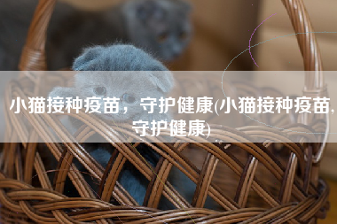 小猫接种疫苗，守护健康(小猫接种疫苗,守护健康)