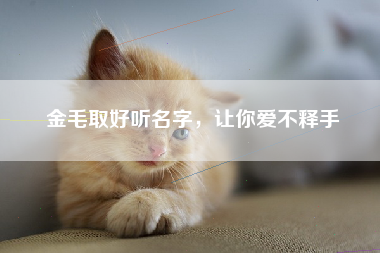 金毛取好听名字，让你爱不释手