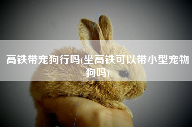 高铁带宠狗行吗(坐高铁可以带小型宠物狗吗)