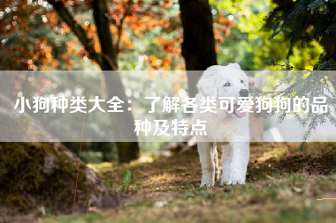 小狗种类大全：了解各类可爱狗狗的品种及特点